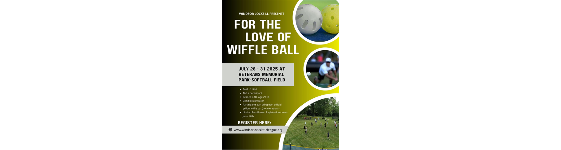 For the love of Wiffle Ball